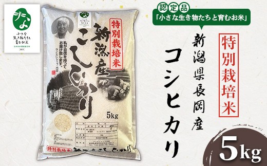 yVszP1-01VYʍ͔|ăRVqJ 5kgyuȐƈނāvFؕiz