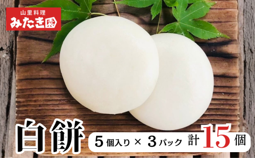 y挧qzy݂z蔒݁iT×RpbNj W1-21