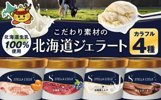 ykC〈szSTELLA CIELO kCWF[g4 Jt | kC~N `R[^ kCԓ kCnXJbv