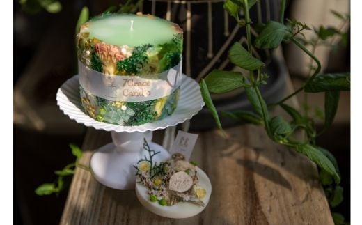 ytlXsz{^jJLhƃA}TVF̃Zbg O[ / CeA G hCt[ nhCh v[g Mtg