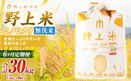 【福岡県うきは市】【6か月定期便】 無洗米 野上米 5s×6回 計30kg 【2025年10月下旬より発送予定】 ヒノヒカリ 米 こめ コメ お米 常温 国産