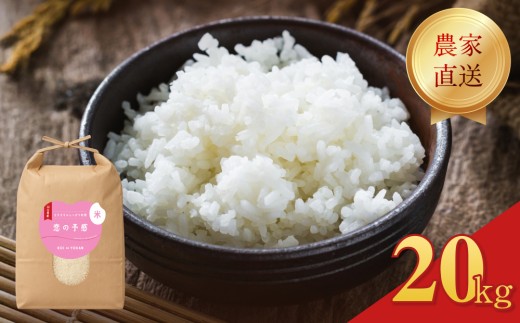 yR֎szߘa7Nx  ̗\  20kg