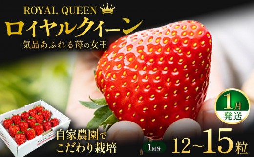 yȖ،sz[1ȍ~] [Ԍ] Ȗ،Y  CNC[12`15 s\ Iׂ锭bȖ،Y sY t[c XC[c fU[g ʕ ʎ Yn Ȗ، 