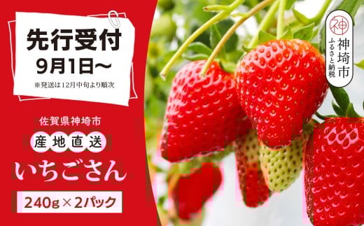 yꌧ_szyst ߘa7N12{蔭zy_ƒz240g×2pbNyꌧY Y lC   XC[c ʕ uh z(H124101)