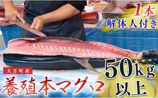 ym匎z Y {B {}O ̐lt 50kgȏ {ۂ hg 300lO ܂ oΉb{܂ N}O    ܂ ܂ ۂ1{ i 1000 p[eB[ Ɩp