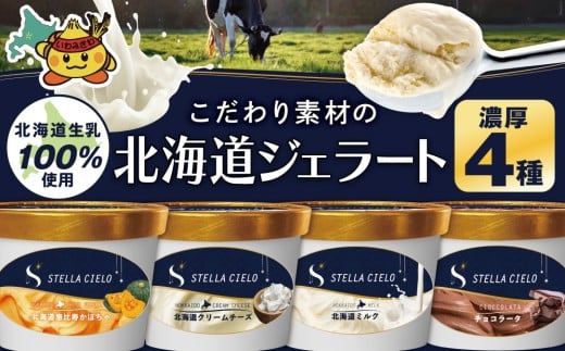 ykC〈szSTELLA CIELO kCWF[g4 Z | kC~N `R[^ kCN[`[Y kCbڂ