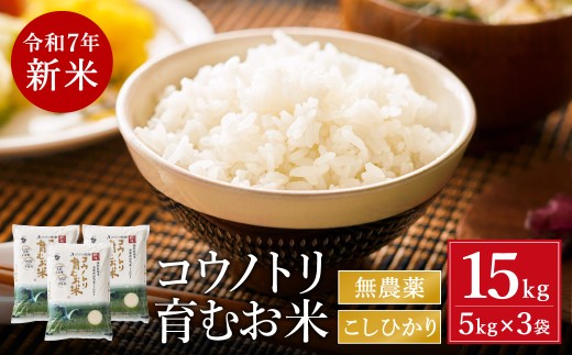 【兵庫県豊岡市】令和7年産 新米 無農薬 米 15kg コウノトリ育むお米 新米 但馬産 こしひかり 兵庫県産(5kg×3袋)(94-002)無農薬 お米 15キロ 精米 白米 コウノトリ米 コシヒカリ 農薬不使用 特