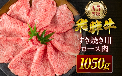 y򕌌_szy3ցzˋ A5 Ăp [X 1050g A5 u[X  ˋ  јa Y ŏ㋉ I uh   Ⓚ v[g Mtg j