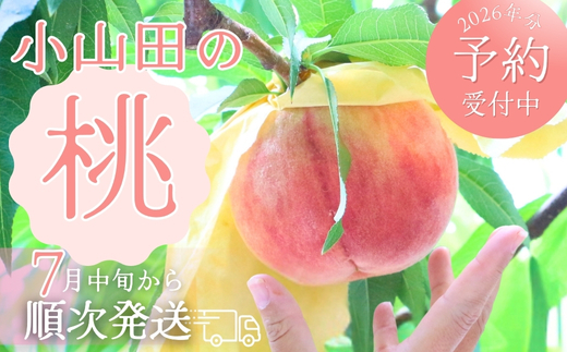 2026年7月中旬頃から順次発送＞小山田の桃（9～12個）モモ 桃 もも