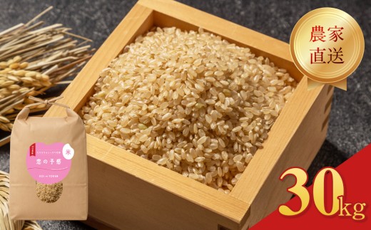 yR֎szߘa7Nx  ̗\  30kg