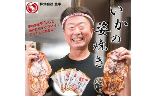 【愛知県美浜町】 いかの姿焼きせんべい (100g×1袋) |イカ 烏賊 おつまみ 個包装 いか焼き おやつ えびせんべい エビせんべい 海老せんべい 愛知県 美浜町 おすすめ ※北海道・沖縄・離島へ