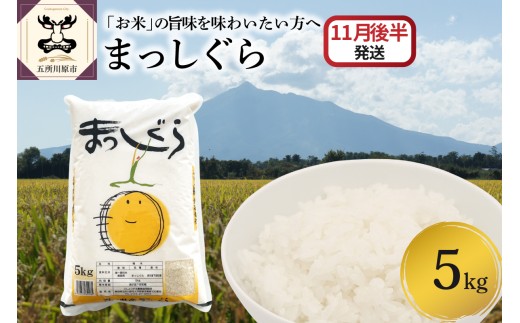 yX܏쌴szy2025N11㔼z܂5kgiāj