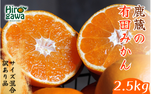 【和歌山県広川町】鹿蔵の 有田 みかん 訳あり 2.5kg 光センサー 選果 / 温州みかん 有田みかん 甘い 家庭用 和歌山 柑橘 ※11月順次発送予定 ※北海道・沖縄・離島への配送不可【ikd004-cm-2d5-nov