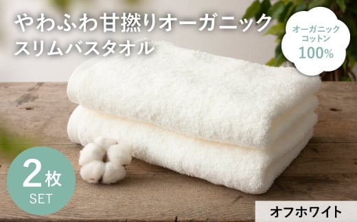 【大阪府箕面市】やわふわ甘撚りオーガニック スリムバスタオル(オフホワイト・2枚) 【m100-23-B】【トクダ】