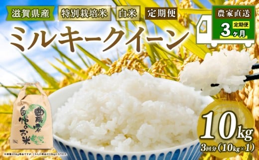 yꌧzV ʍ͔| ~L[NC[ ߘa7NY  10kg   3 v 30kg ݂邫[[ 2025NY Y _ƒ 10kg × 3 Y _ƒ  p 