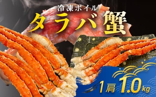 ytxszⓀ{C^oI@5L TMN012 / ӂ邳Ɣ[ ΂ ΃Kj ^oKj ^oI ⓀI Ⓚ ⓀJj   ^o XN[i[ t xs