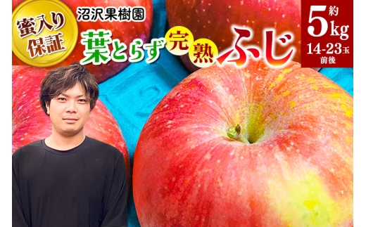 yHcsz11{蔭 sCgŖۏ؁IttƂ炸nӂ 5kg 