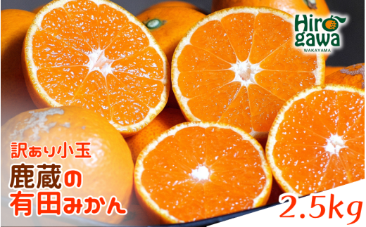 【和歌山県広川町】鹿蔵の 有田 みかん 訳あり 小玉 2.5kg 光センサー 選果 / 温州みかん 有田みかん 甘い 家庭用 和歌山 柑橘 ※11月〜順次発送予定 ※北海道・沖縄・離島への配送不可 【ikd004
