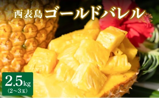 yꌧ|xzNo.1IJ30NE͔|3NBpCibv̍ōS[ho2.5kg(2?3)