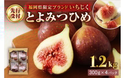 y@szy񕍊zIzv~A Ƃ݂Ђ߁@1.2kgyJAق̗z_HA0278