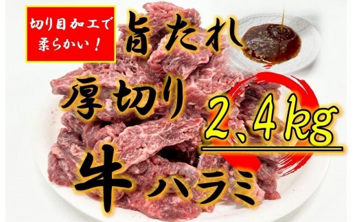 y쌧oszIWiē̃^Ђ@؂苍n~@2400g
