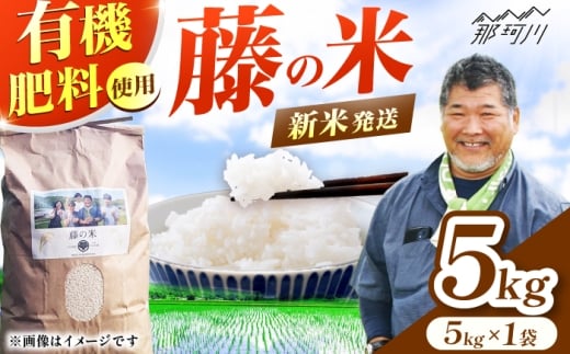 y߉ϐszV ߘa7NxY ̕(ӂ̂܂) 5kg tWm_߉ϐs [GCO003]V    C 