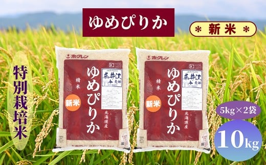 ykCވ]zkCވ]@ʍ͔|ā@߂҂肩@10kg