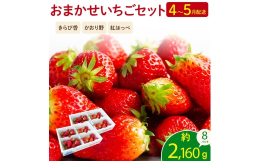 いちごページ 先行予約】 2026年04月より順次発送 いちご 【数量限定】 2kg 以上