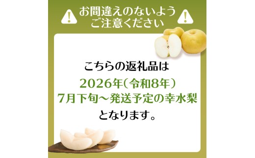 先行受付】【アフター保証】幸水梨（5kg）【JAふくおか八女】｜2026