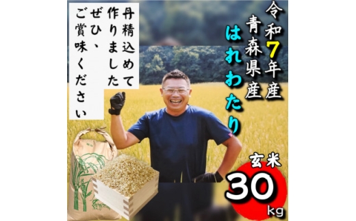 【青森県十和田市】<令和7年産>青森県産はれわたり玄米30kg【1678880】