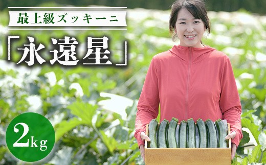 y錧푍szŏ㋉YbL[juiv 2026N5{`6{ɏ\