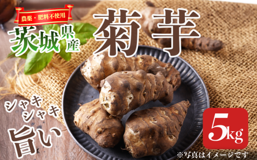 y錧Ύszs\ 2026N1Jn_E엿sgpIR͔|̋e 5kgy e u^C JC  _sgp 엿sgp N R͔|   錧 Ύs z