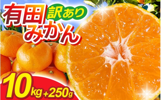 ya̎RI쒬zys\zƒpLc݂TCY(2S`2L)10kg+250g 11蔭(n)/ ݂ ~J Lc݂ k t[c ʕ a̎R IWyikd175Bz