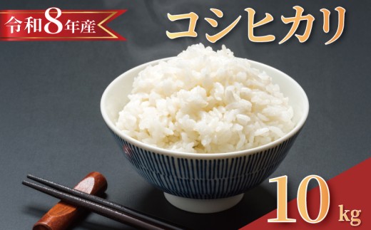 ytszy 2026N8 z ߘa8NY V  RVqJ 10kg   V10kg 2026 8NY    R CX  ͂  Ђ _ 8  ~ h