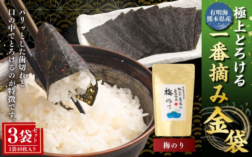 yF{zLC F{Y ɏƂ낯ԓE ~̂  1܁i40j×3 v120 C C ̂ m ̂ ~  E