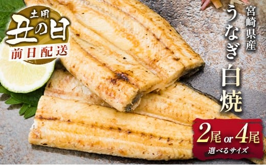 y{茧VxzOz\mypN̓n TCYIׂ Y Ȃ Ă ^t O725͂ L l i Mtg zwynakatan_ushiz