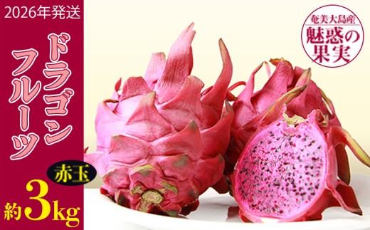 2026年発送【奄美大島産】魅惑の果実・ドラゴンフルーツ(赤玉)約3kg