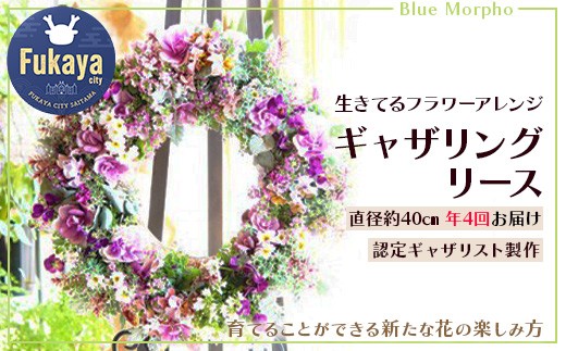 四季折々 年4回届く 生きてるフラワーアレンジギャザリングリース