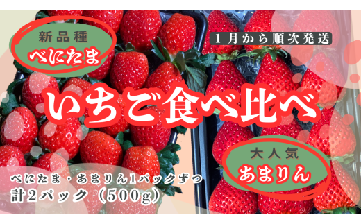 埼玉県プレミアムいちご あまりん&べにたま 食べ比べセット 5セット あまりん・べにたま】食べ比べ2パック(500g) ｜ 果物/いちご 産直