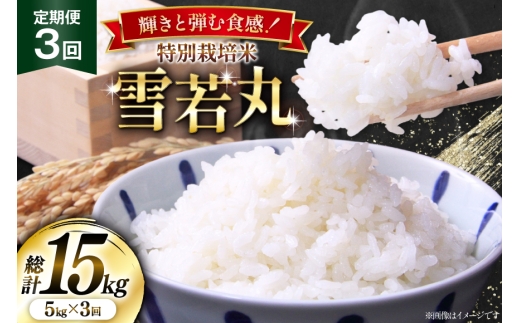 yR`z  3 ߘa7NY ʍ͔|  5kg [{cEm R`  tk06bgj910002]    ͂  uh