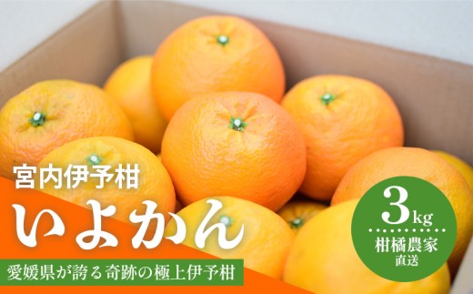 【愛媛県松山市】【先行予約 2026年1月中旬から発送予定】 いよかん 宮内伊予柑 3kg 2025年度 みかん 3kg みかん 愛媛 みかん 松山 みかん 農家直送 みかん 不揃い いよかん 家庭用 柑橘 愛媛 松