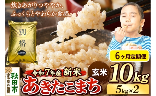 yHcHcszsߘa7NY Vāts6t  ܂ 10kgi5kg×2܁j yāz HcY