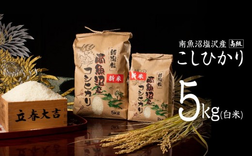 【新潟県南魚沼市】【令和7年産 新米】【高級】南魚沼塩沢産こしひかり5kg(白米)【令和7年11月下旬以降発送】【米 お米 こしひかり 南魚沼 米 白米 こめ 新潟 米】