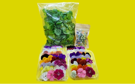 yɌdz[5359-0043]yDZbgzGfBut[(20)4pbN T_N\(80g) GfBut[(hC2g) Hp Hׂ  a v[g t H