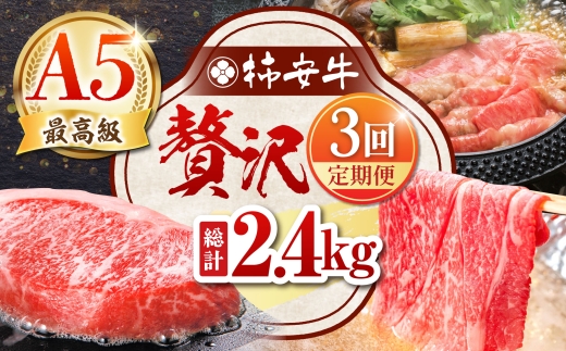 yOdTRszy3ցz ōA5 OdYјa ` ґ v2.4kg TRs/`{X [AMBW041]