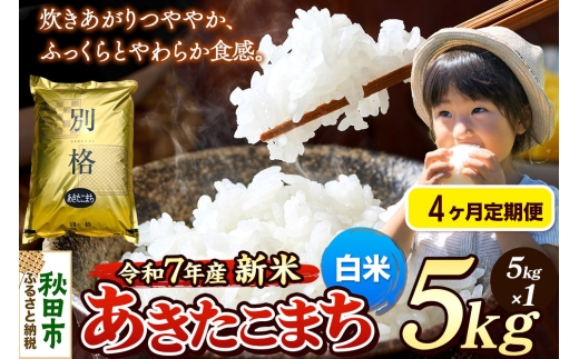 【秋田県秋田市】《令和7年産 新米》《定期便4ヶ月》 米 あきたこまち 5kg 【白米】 秋田県産