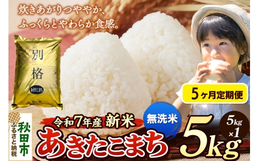 yHcHcszsߘa7NY Vāts5t  ܂ 5kg yāz HcY