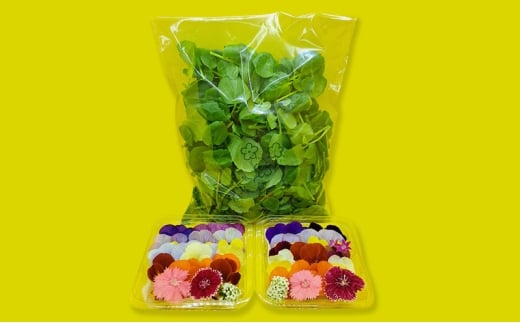 yɌdz[5359-0040]yAZbgzGfBut[(20)2pbN T_N\(80g) Hp Hׂ  a v[g t Hp َqyzBsFz