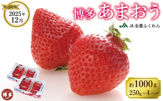 yszyʌz2025N12܂250×S