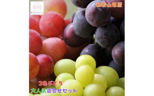 ya̎RLc쒬z_ƒ RFԂǂlߍ킹lCZbg 2kg m2026NEs\n